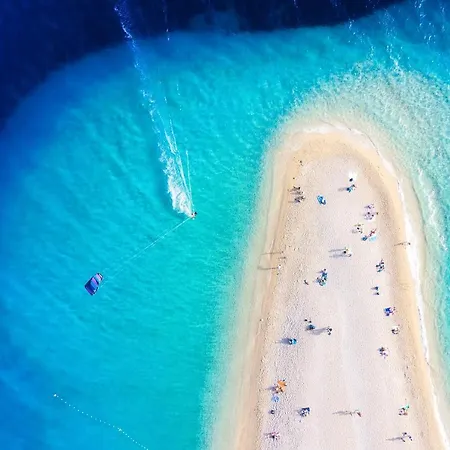 Seas The Day